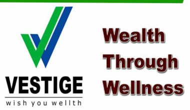 Vestige Company Details Vestige Marketing Private Limited 2