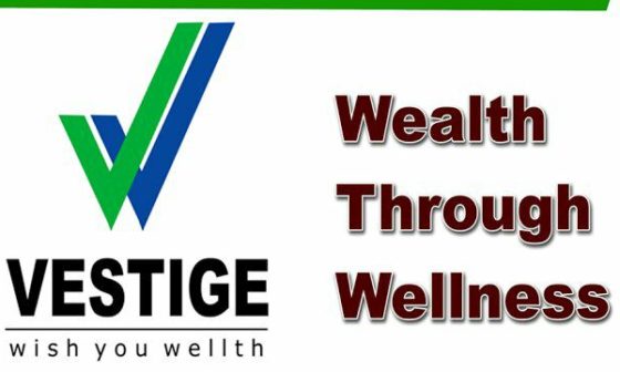 Vestige Company Details Vestige Marketing Private Limited 2