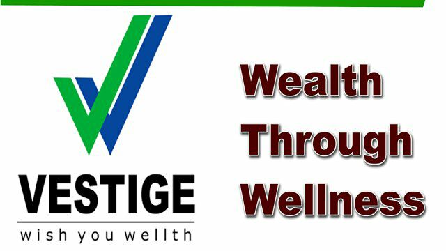 Vestige Company Details Vestige Marketing Private Limited 2