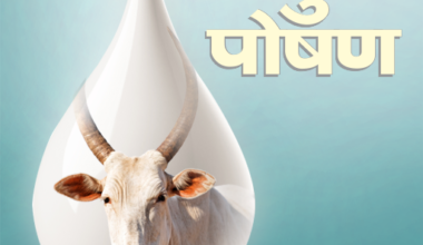 पशु आहार ऐप